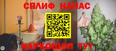 прущие грибы Ирбит