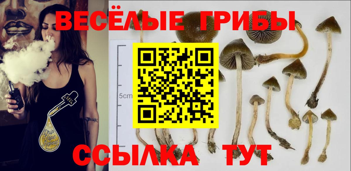 Псилоцибиновые грибы мухоморы Мурманск